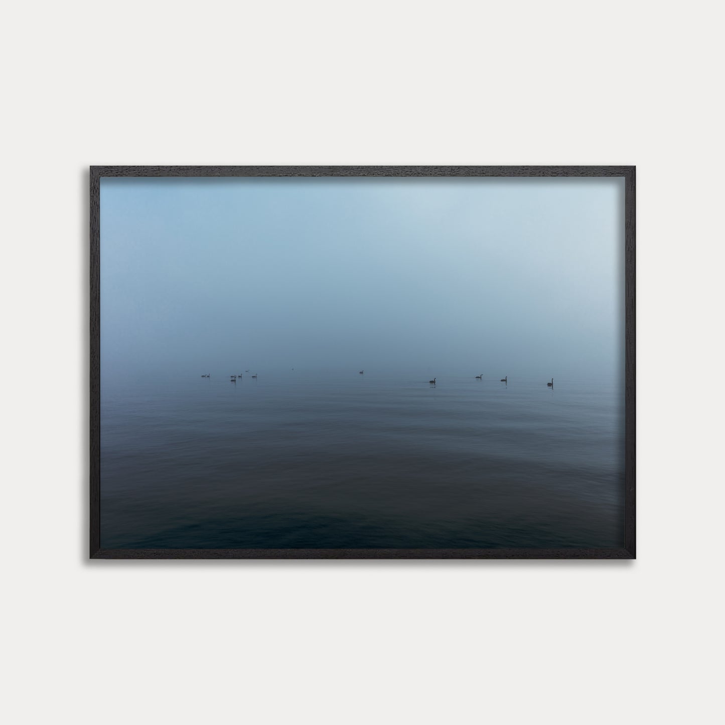 WESTMERE SWANS