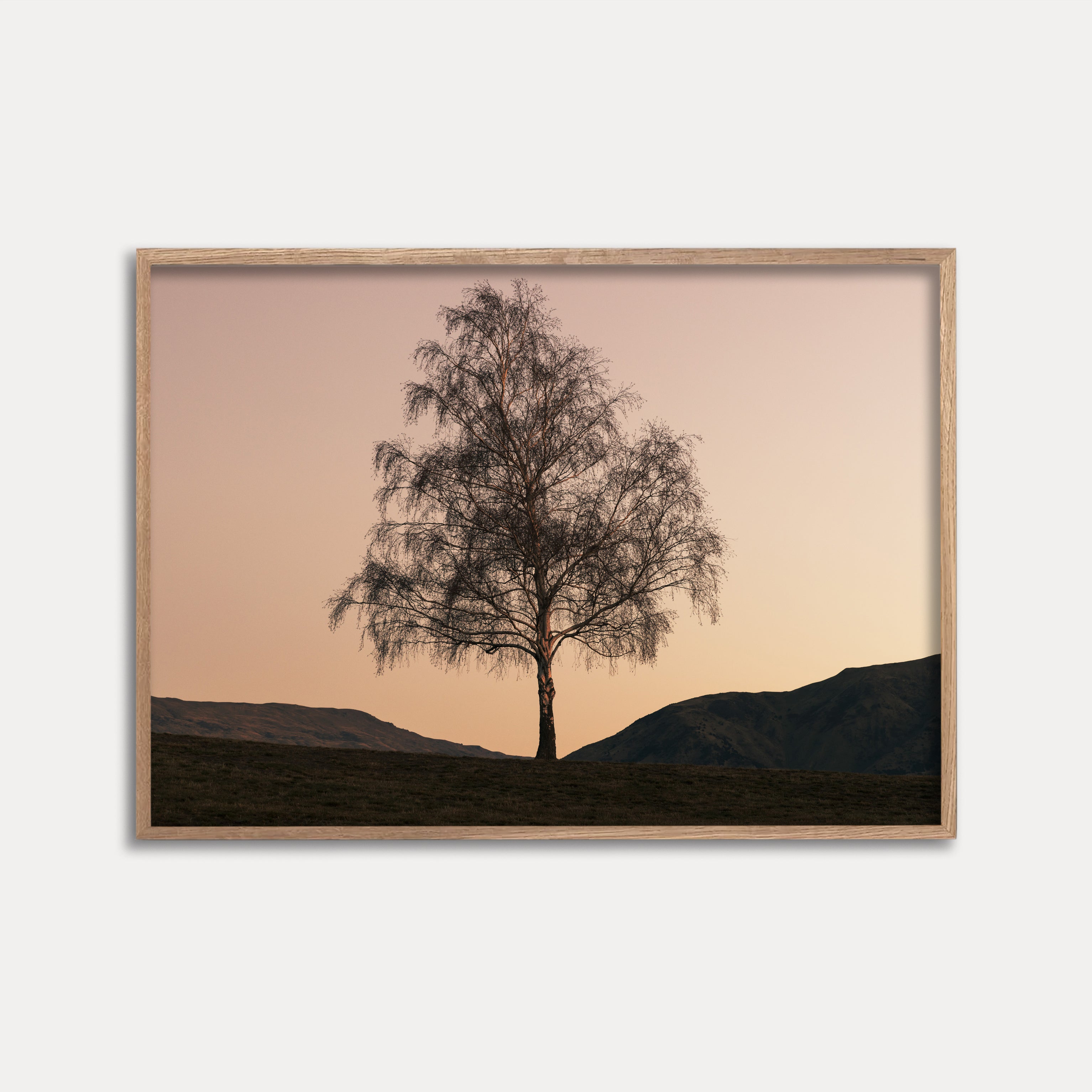 WANAKA TREE